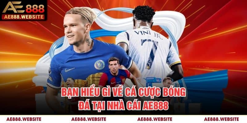 Bạn hiểu gì về cá cược bóng đá tại nhà cái AE888