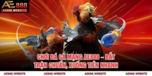 Chơi Đá Gà Mạng AE888 – Bắt Trận Chuẩn, Xuống Tiền Nhanh