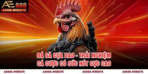 Đá Gà Cựa Dao - Trải Nghiệm Cá Cược Có Sức Hút Cực Cao