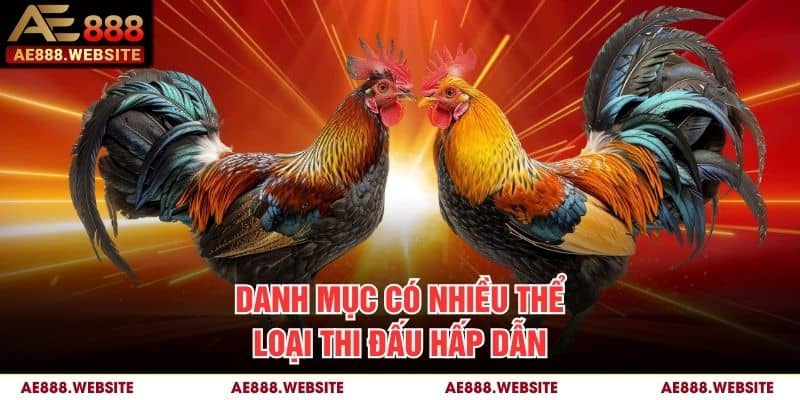 Danh mục có nhiều thể loại thi đấu hấp dẫn