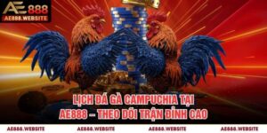 Lịch Đá Gà Campuchia Tại AE888 – Theo Dõi Các Trận Đỉnh Cao