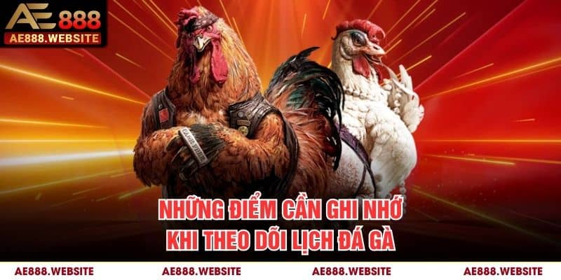 Những điểm cần ghi nhớ khi theo dõi lịch đá gà