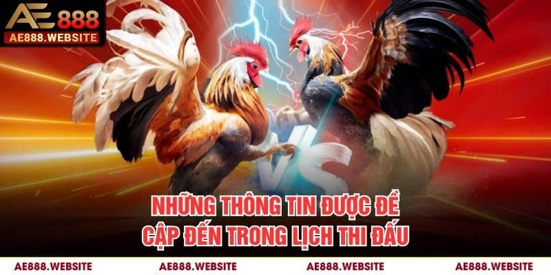 Những thông tin được đề cập đến trong lịch thi đấu