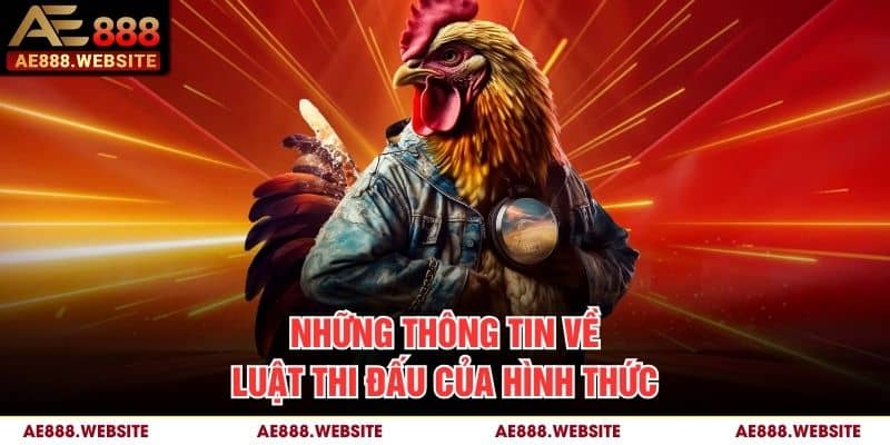 Những thông tin về luật thi đấu của hình thức