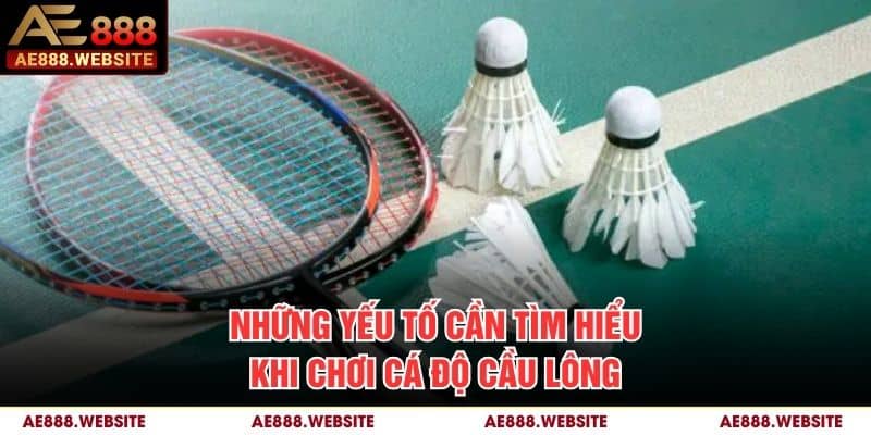 Những yếu tố cần tìm hiểu khi chơi cá độ cầu lông