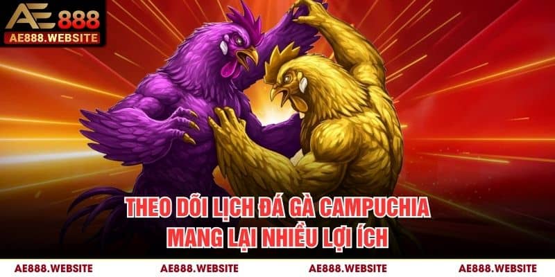Theo dõi lịch đá gà Campuchia mang lại nhiều lợi ích